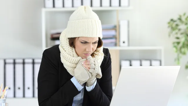 Picture of a woman sitting in front of her laptop inside wearing a scarf, gloves and a hat.