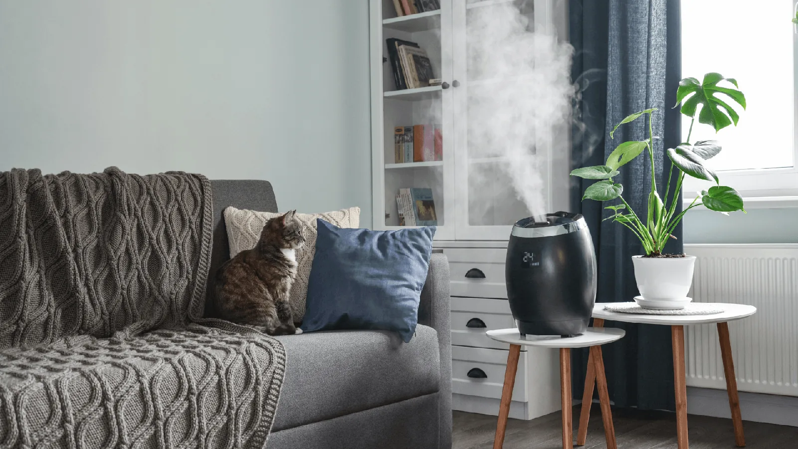 Humidifier emitting steam in cozy living room with cat, emphasizing indoor air quality and comfort during winter months.